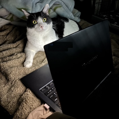 Masahiro Nakano profile image